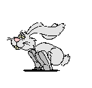 white rabbit