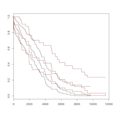 election to death, romans (red) vs. non-romans