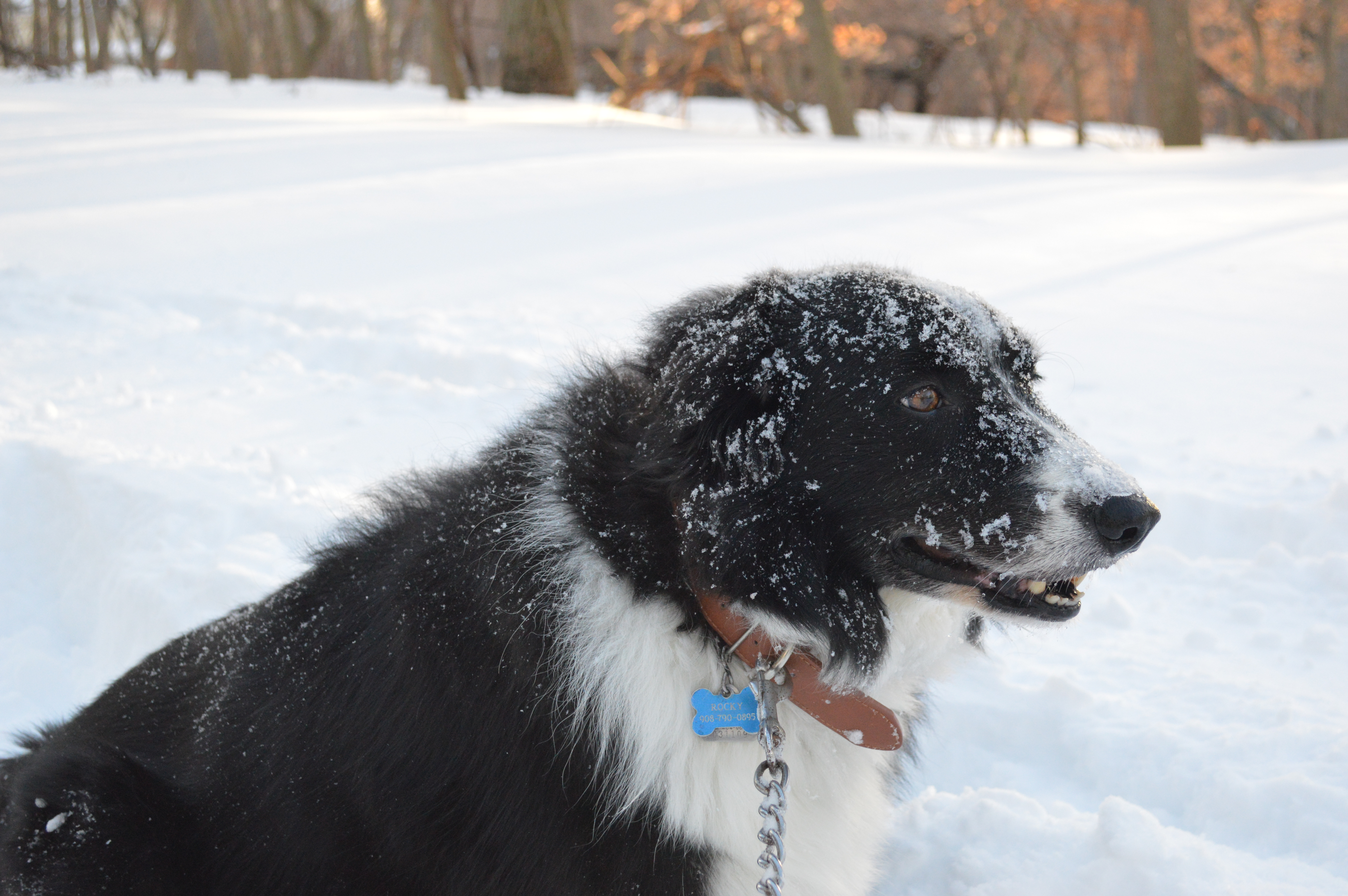 rocky3