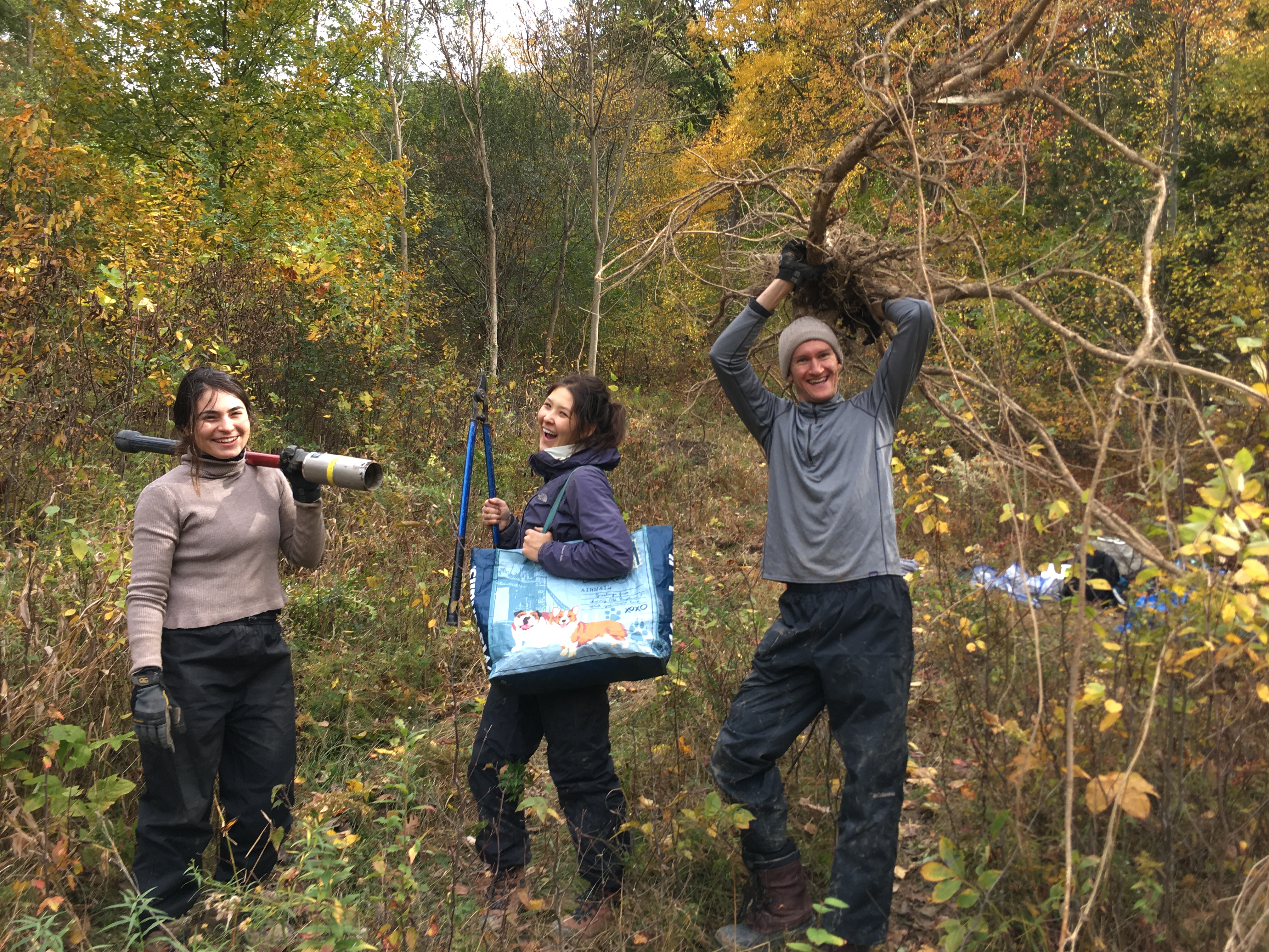 Ski slope harvest