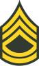 Sergeant First Class