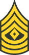 First Sergeant