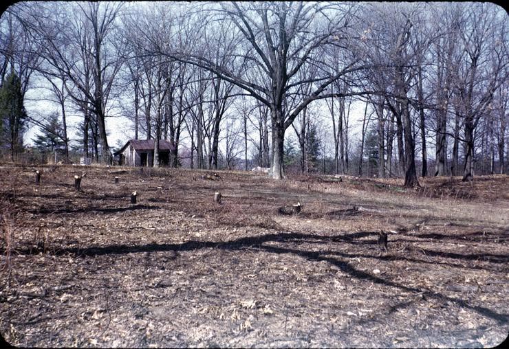 Chesterbrook pool site