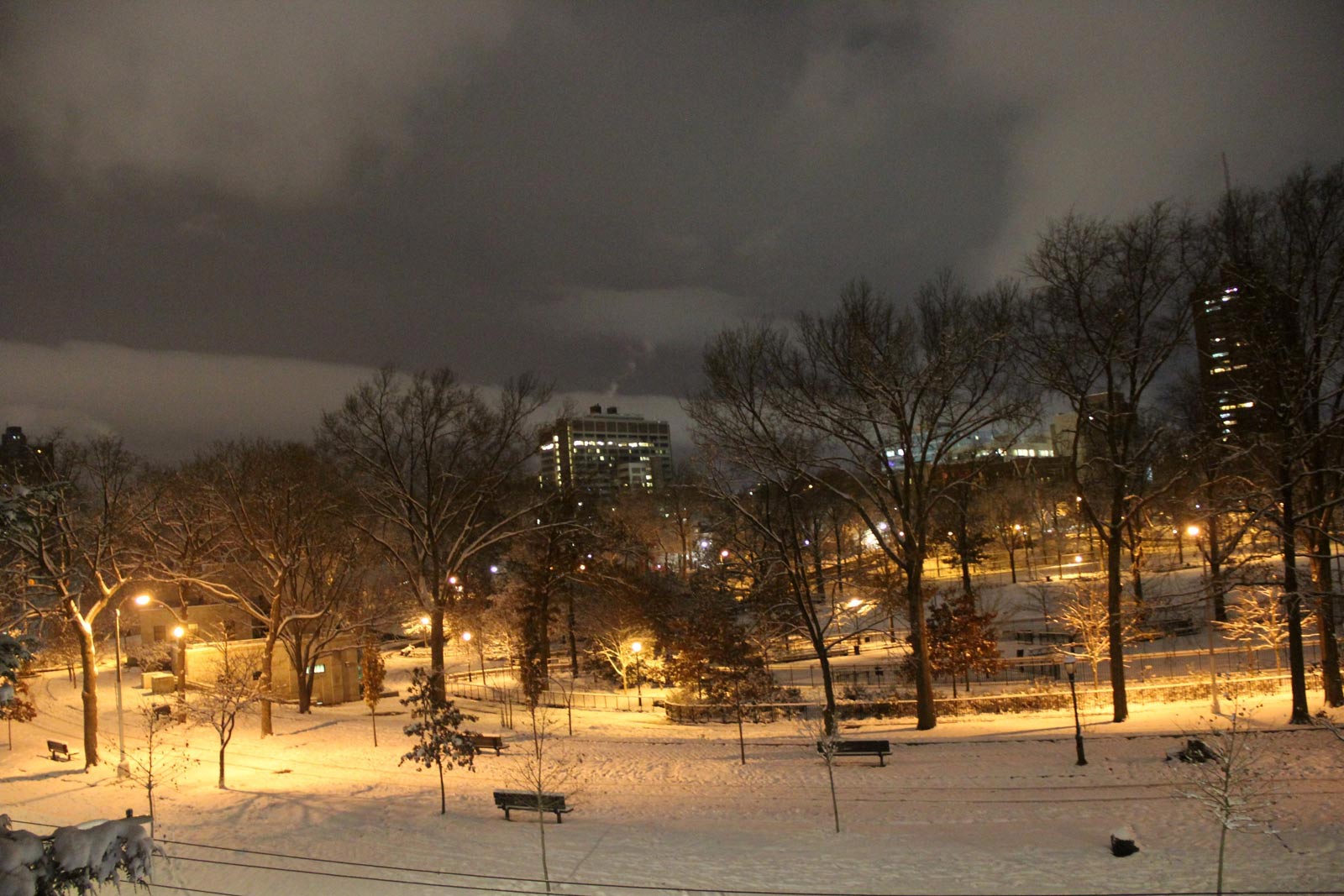 Oval Park on a winter night
