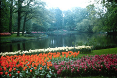 pict0075