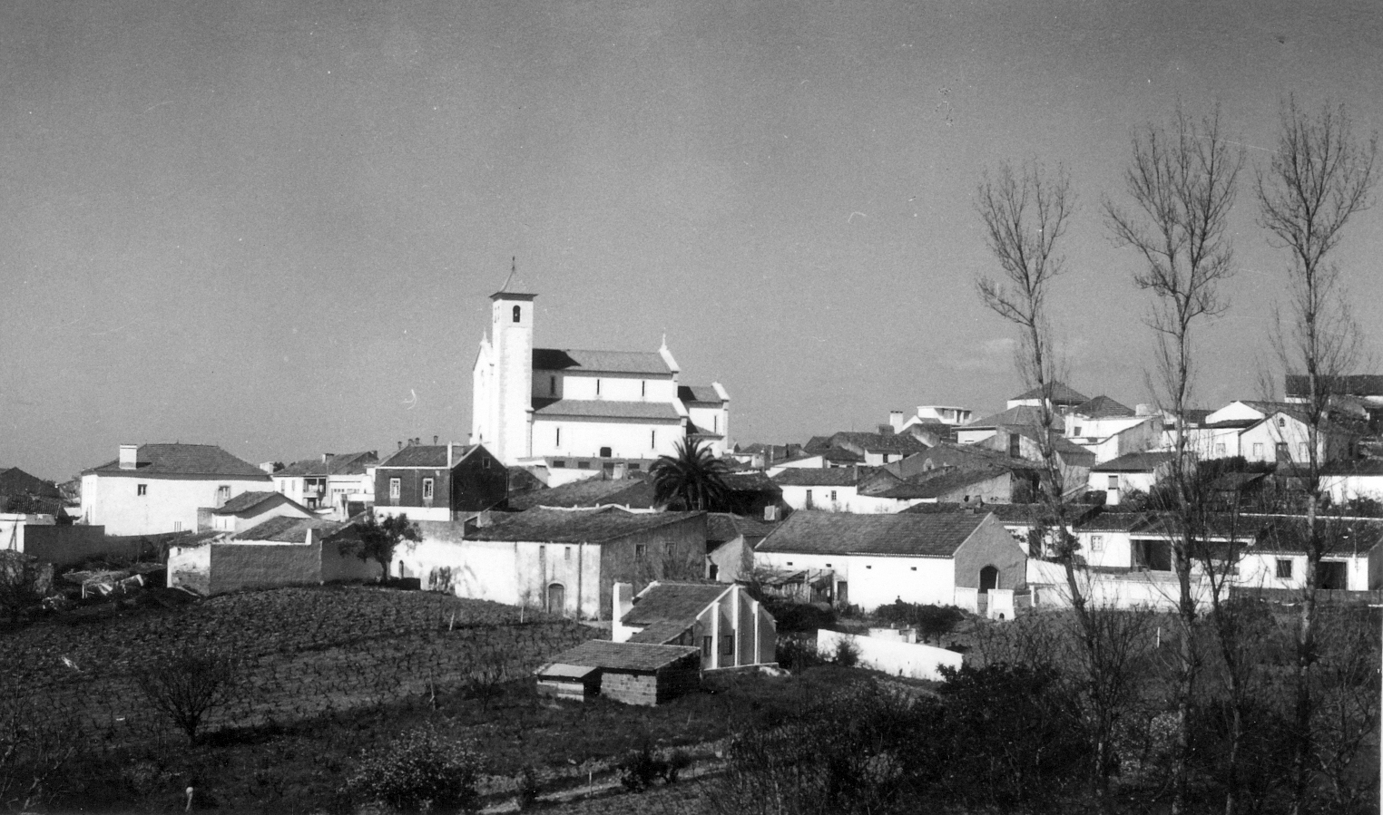 Vilar 1950s