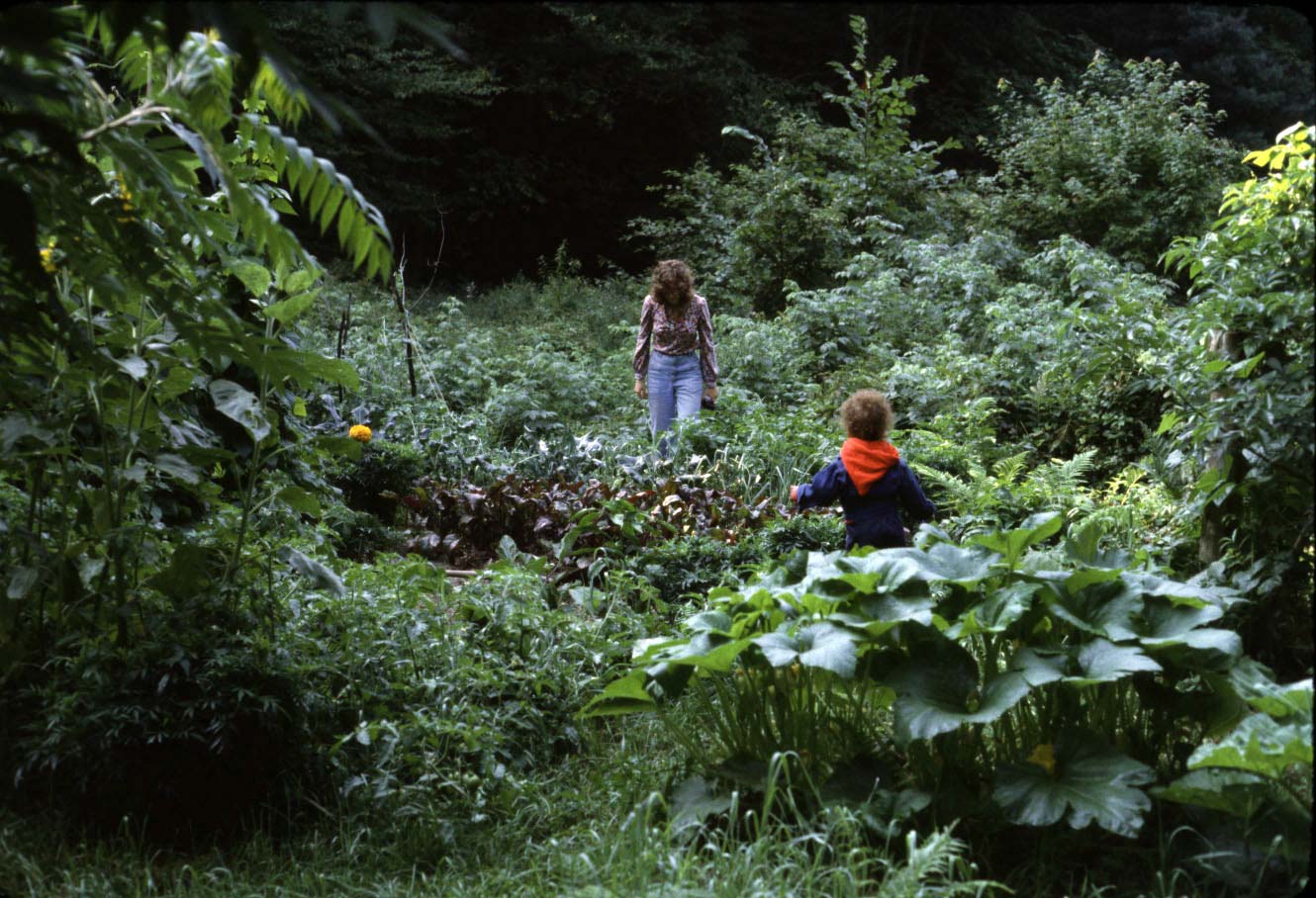 Vermont