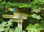 trailmarkers