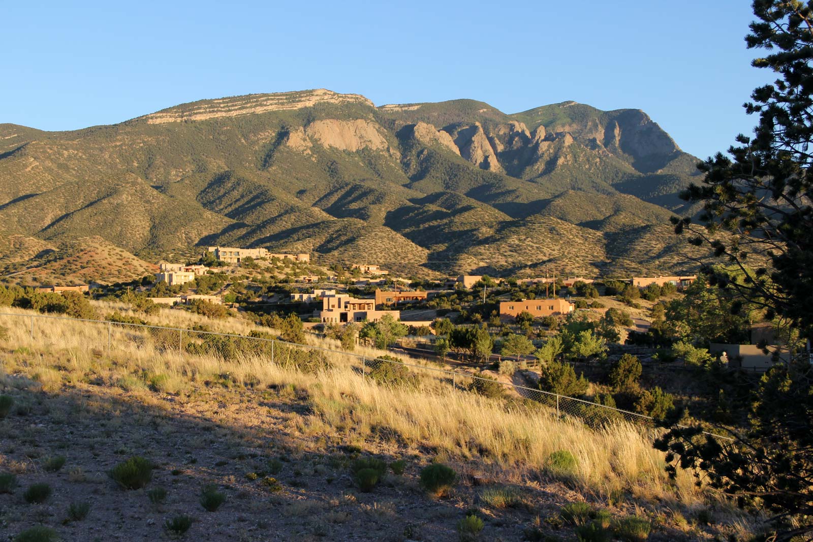 New Mexico June 2019 Photo 41