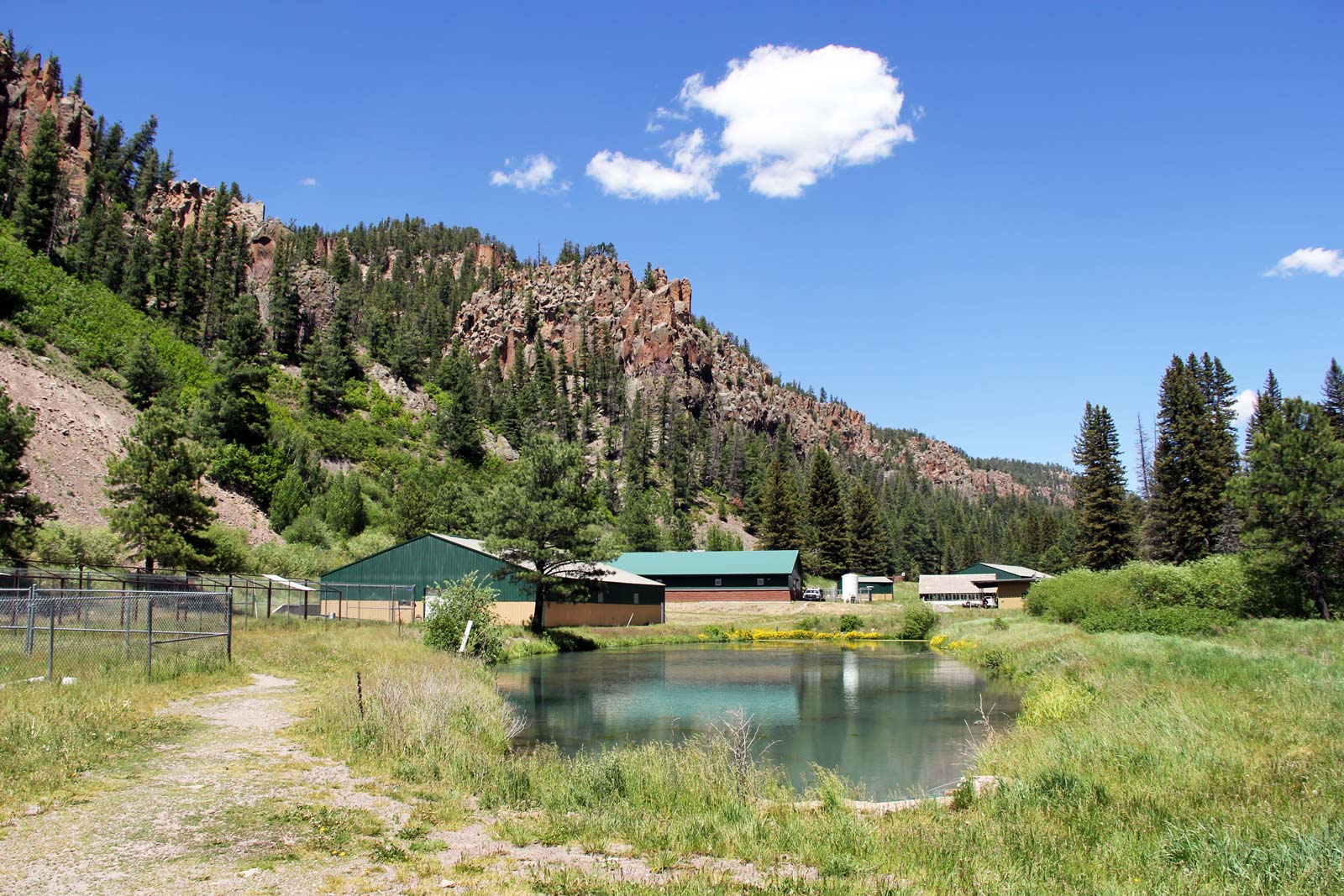 New Mexico June 2019 Photo 17