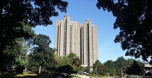 tracytowers2
