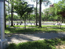 oval13