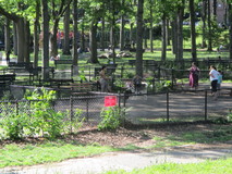 oval15