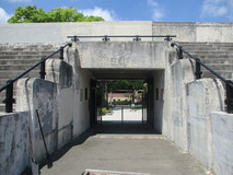 vcp82