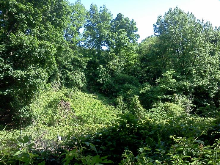 Hudson River Running Path Manhattan May 2012 Photo #2