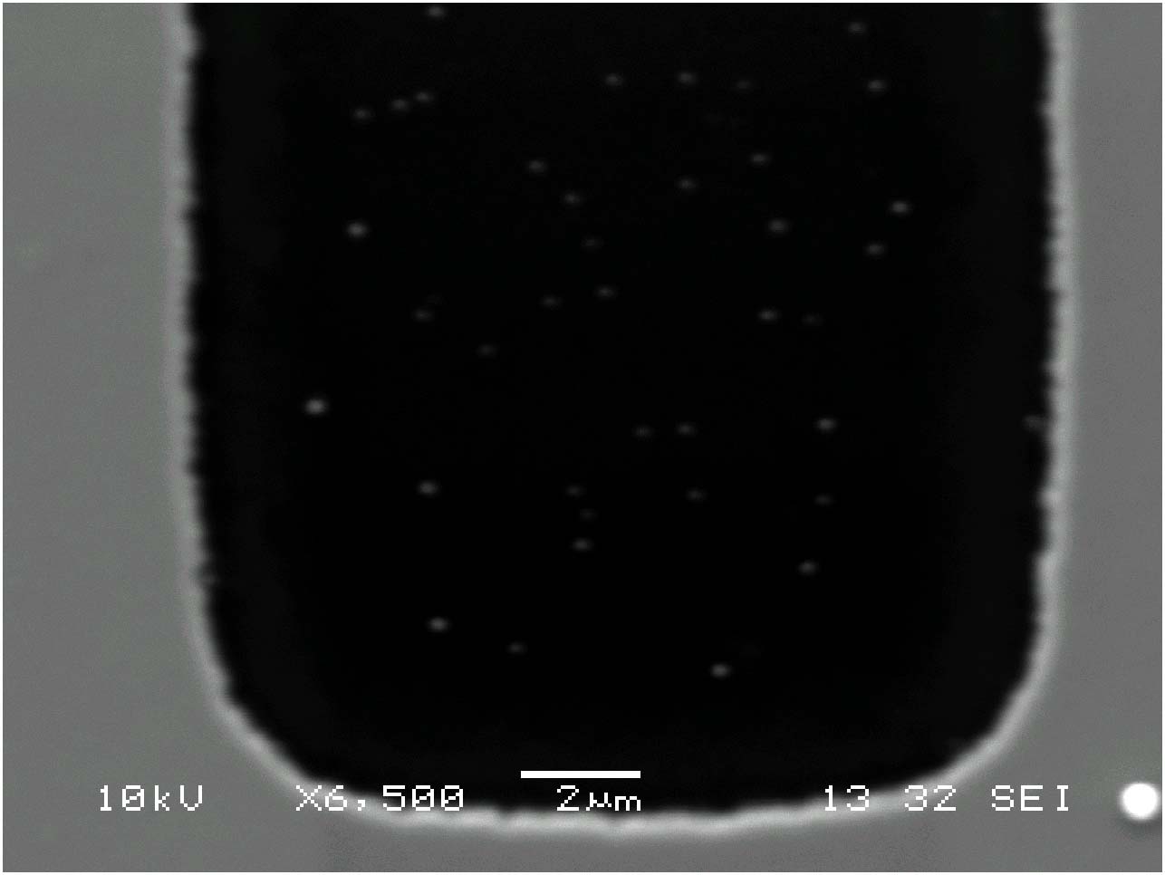 CdSe Nanoparticles