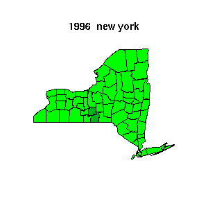 newyork map 1996