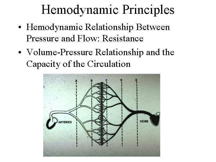Two important hemodynamic principles