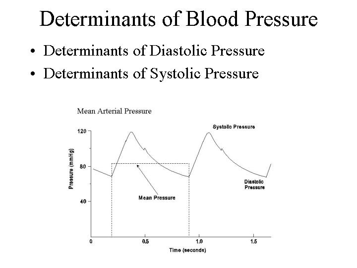  Total peripheral resistance; Cardiac output = Heart rate x Stroke volume 