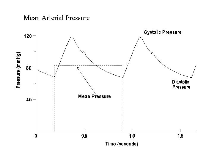 the systolic blood pressure measurement is a reflection of