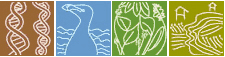 CERC Logo