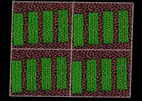 4CNT1_1W_b4