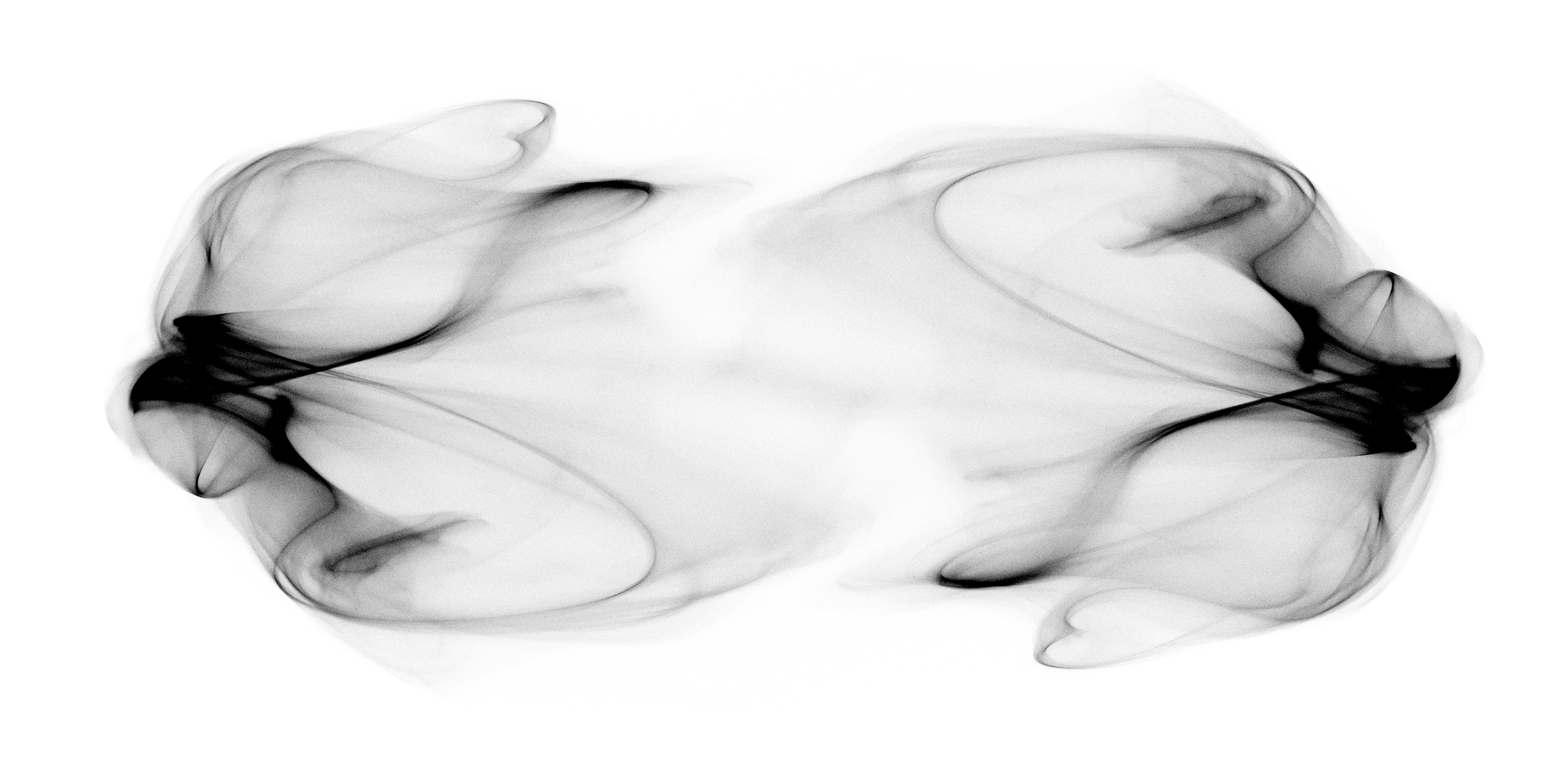 visualization of low-dimensional attractor of chaotic firing-rate network by Rainer Engelken