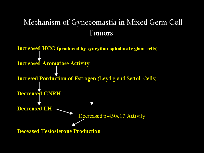 Mechanism of in Mixed Germ Cell