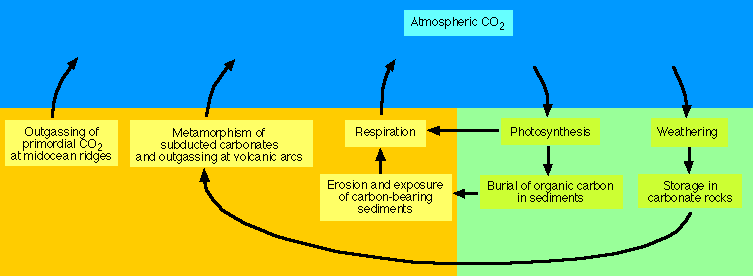 Carbon Cycle And The Earth S Climate