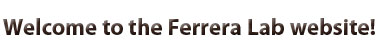Welcome to the Ferrera Lab website!