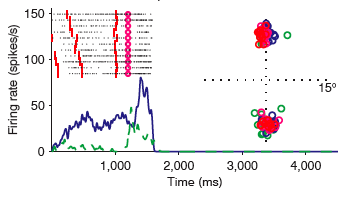 Barborica & Ferrera 2003 Fig. 4h