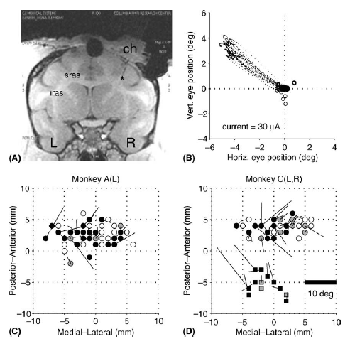 Opris et al. (2005) Fig. 1