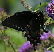 P9070202-1