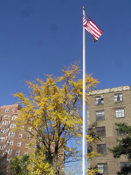 PB192597.JPG