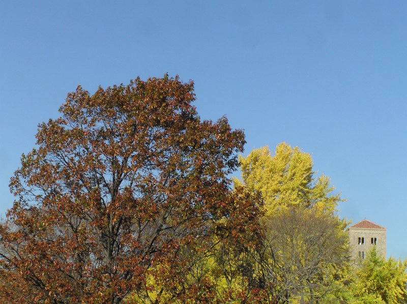 PB192632.JPG