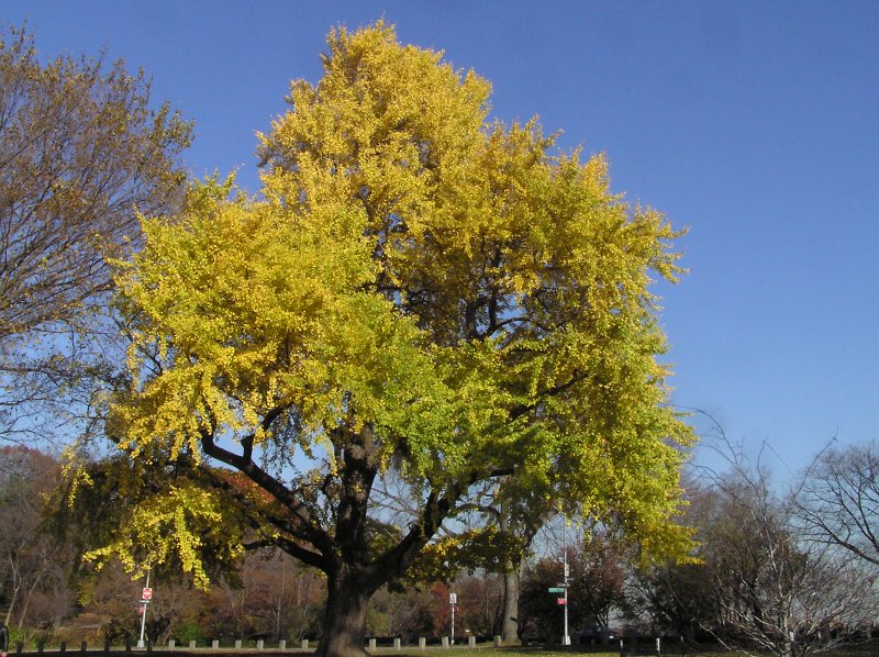 PB192646.JPG