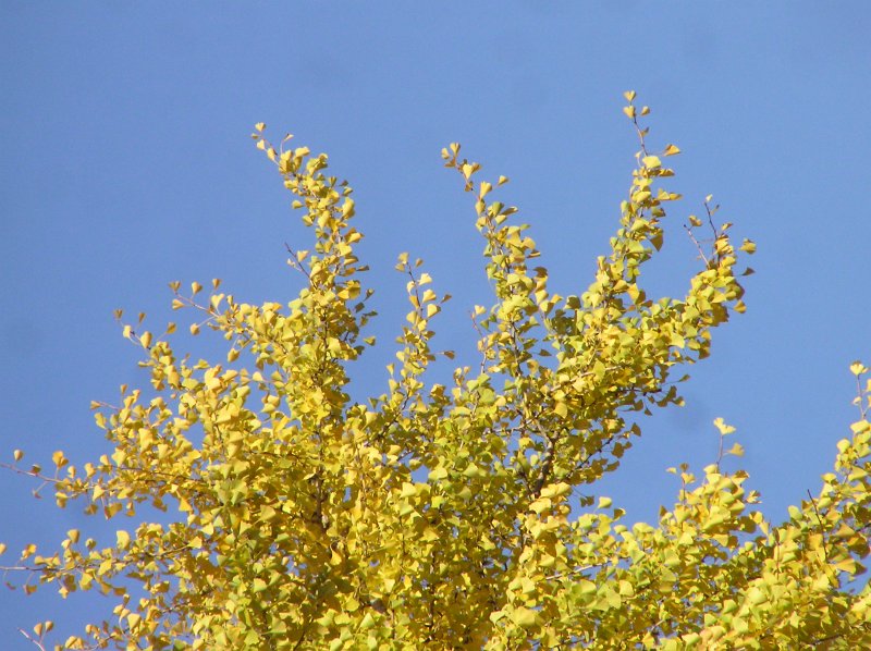 PB192649.JPG