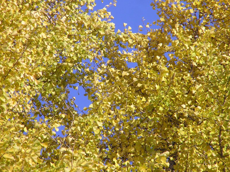 PB192700.JPG