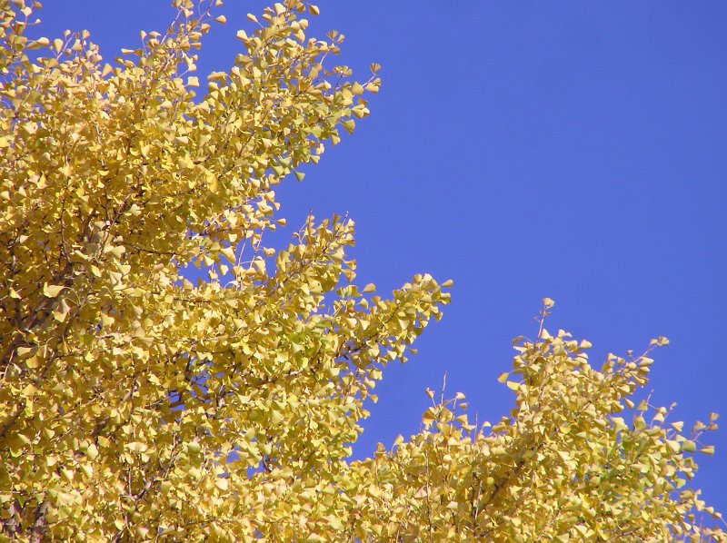 PB192701.JPG