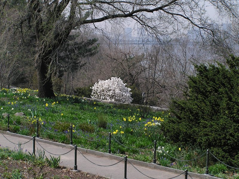 P4195739.JPG