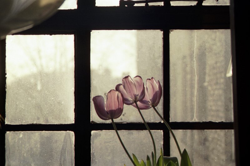Picture_16.jpg