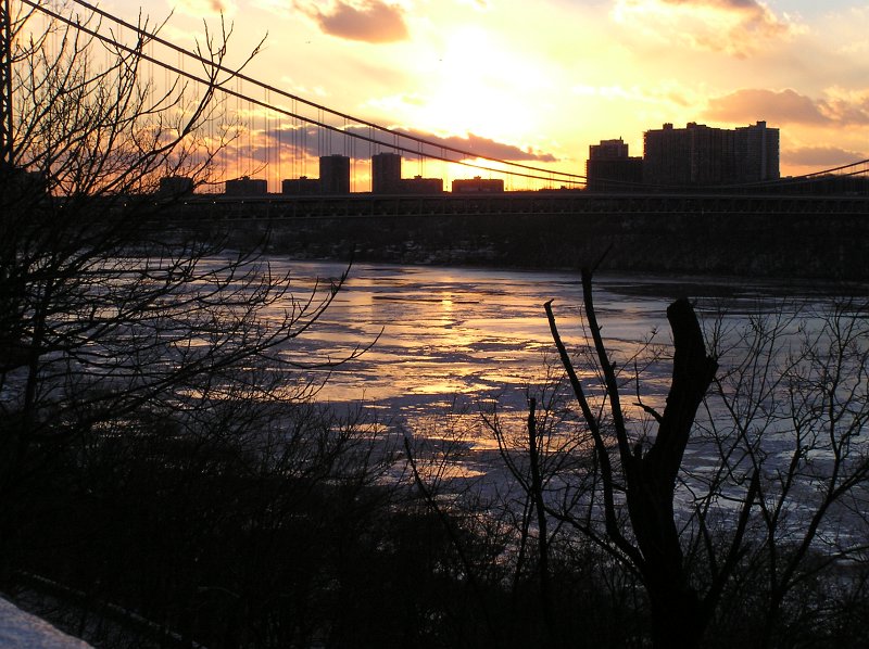 P1243100.JPG