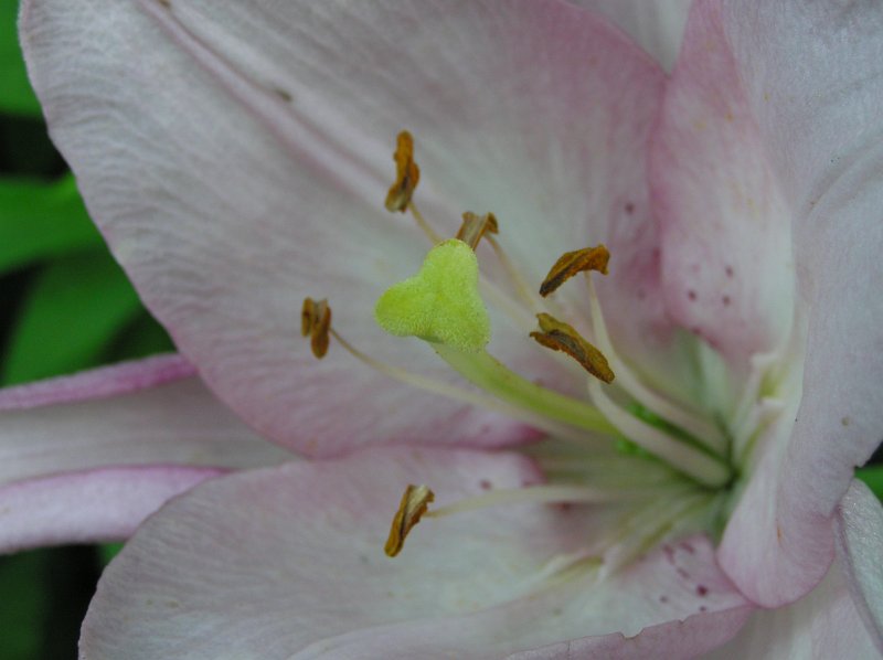 P7085590.JPG