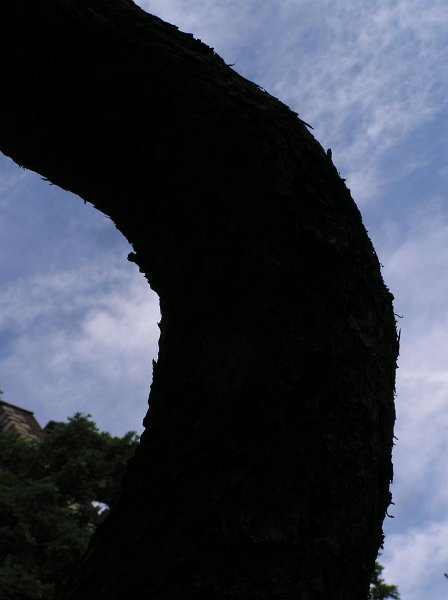 P7085634.JPG