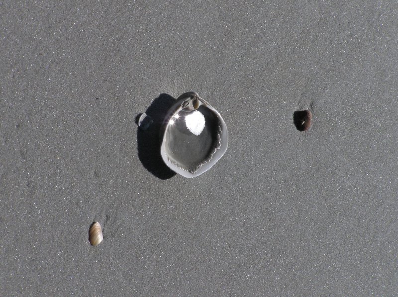 PB090062.JPG