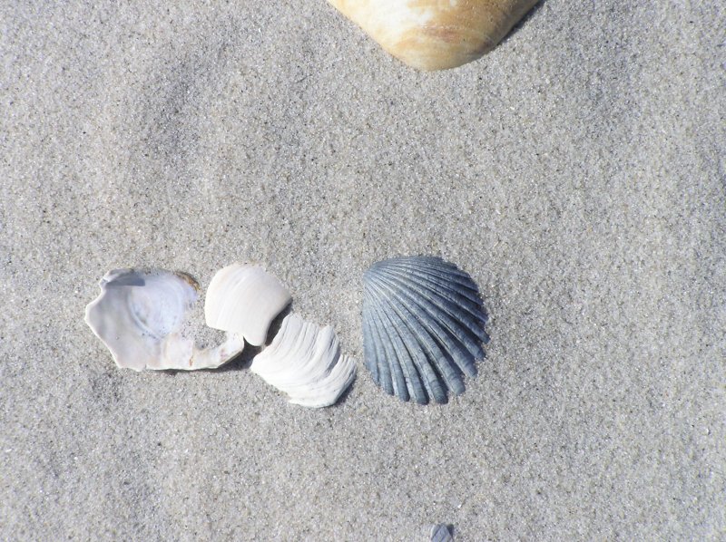 PB090206.JPG