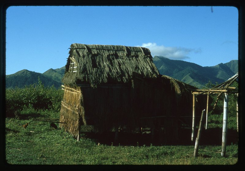 A00163_SA01321.jpg