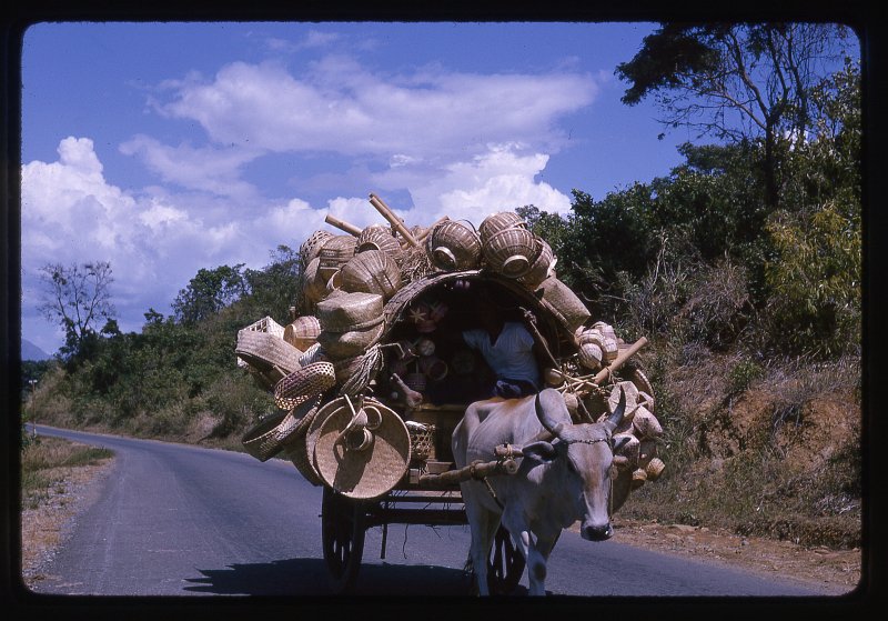 A00195_SA01337.jpg