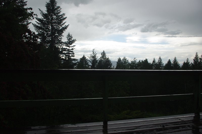 IMGP9804.JPG - Rain