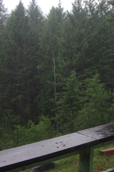 IMGP9807.JPG - Rain